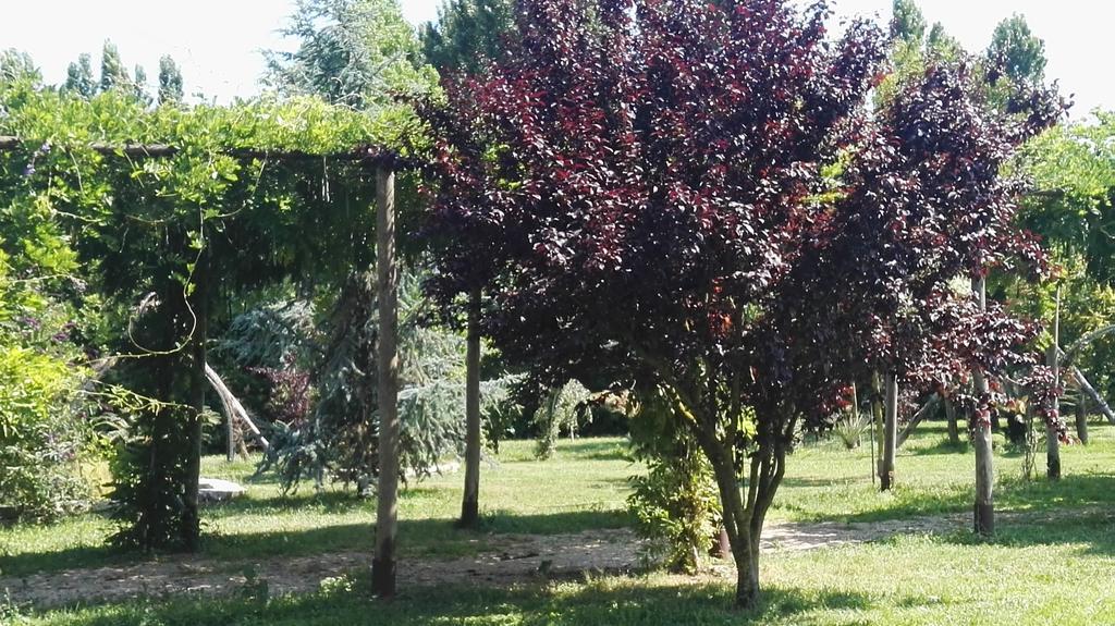 Villa Tenuta Le Pantanelle Sezze Exterior foto